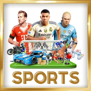 sports-empire777-fit